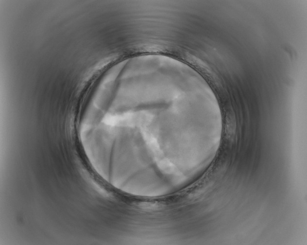 X0000113250394200910221125