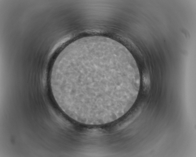 X0000113250396200910221125