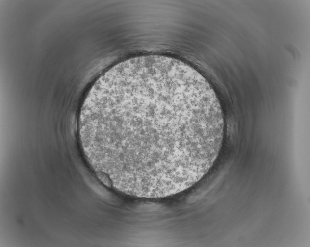 X0000113250397200910221125