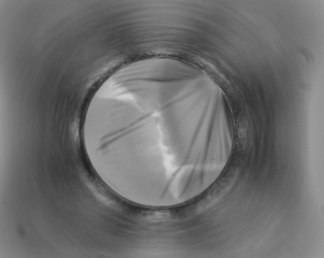 X0000113250398200910221125