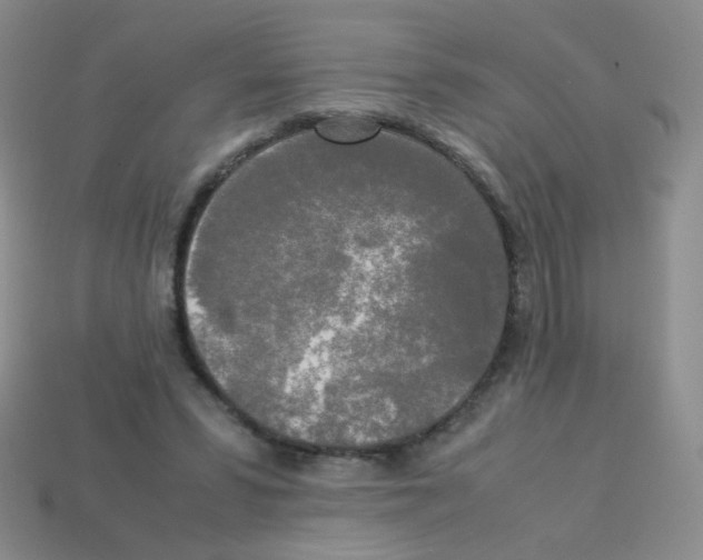 X0000113250399200910221125