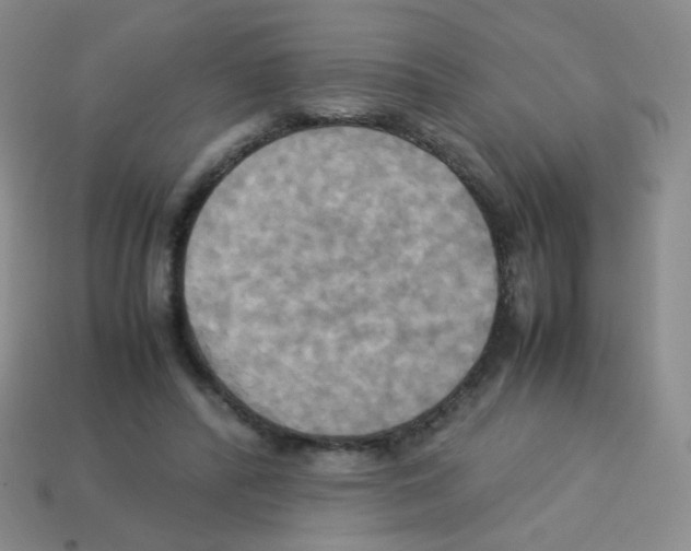 X0000113250400200910221125