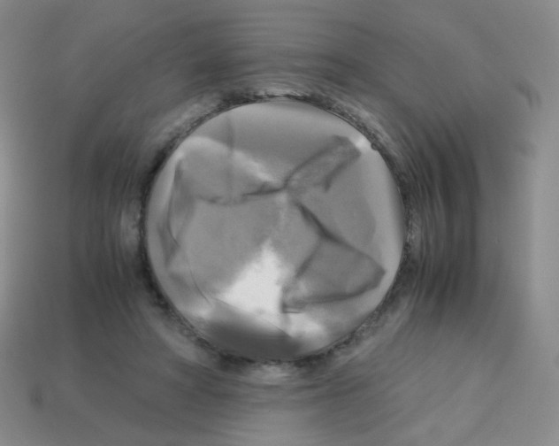 X0000113250402200910221125