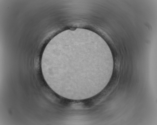 X0000113250403200910221125