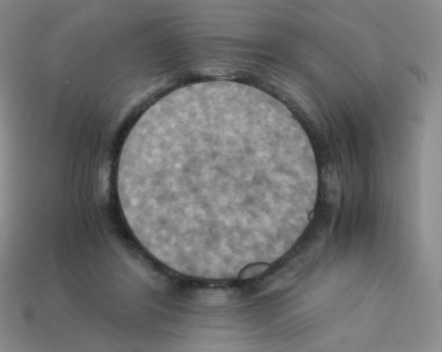 X0000113250404200910221125