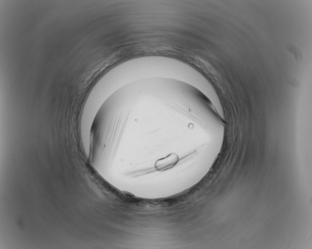 X0000113250405200910221125