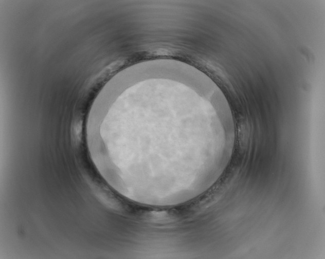 X0000113250406200910221125