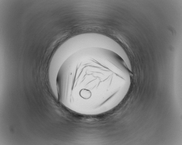 X0000113250407200910221125