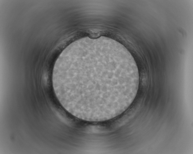 X0000113250408200910221125