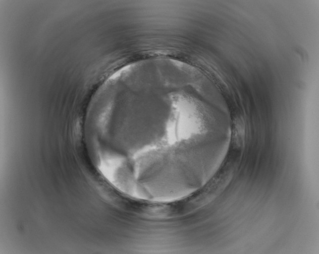 X0000113250410200910221125