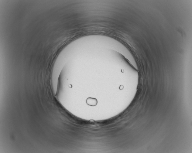 X0000113250411200910221125