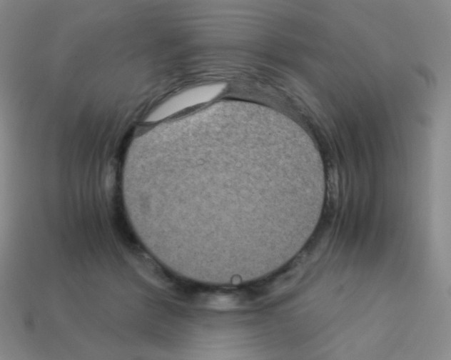 X0000113250412200910221125