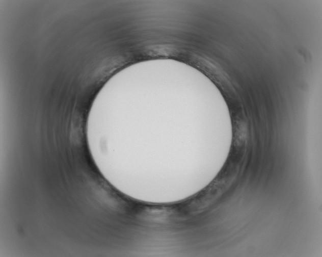 X0000113250414200910221125