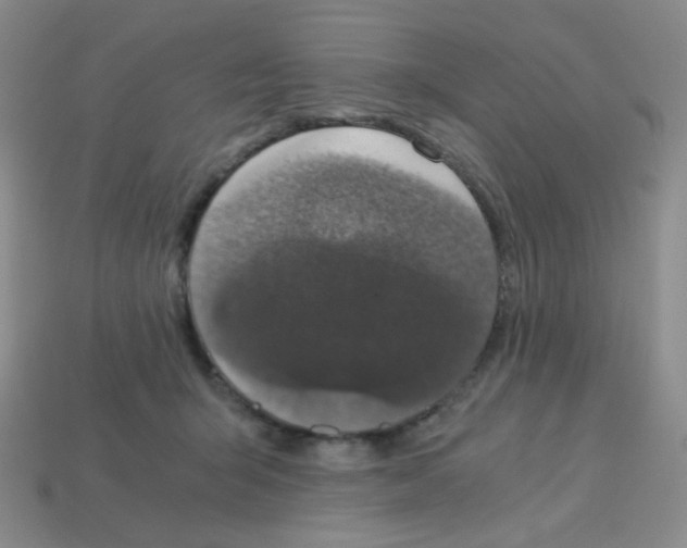 X0000113250415200910221125