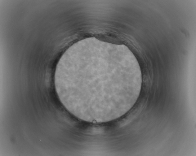 X0000113250416200910221125