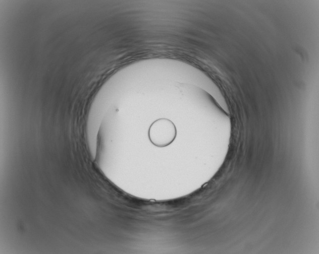 X0000113250417200910221125