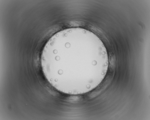 X0000113250418200910221125