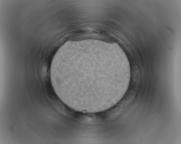 X0000113250420200910221125