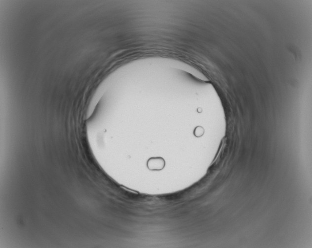 X0000113250421200910221125