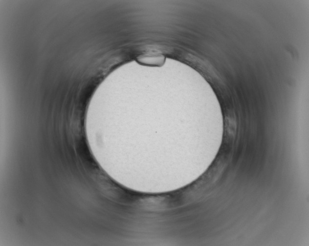 X0000113250422200910221125