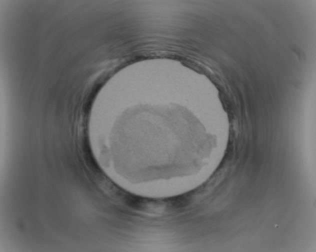 X0000113250423200910221125