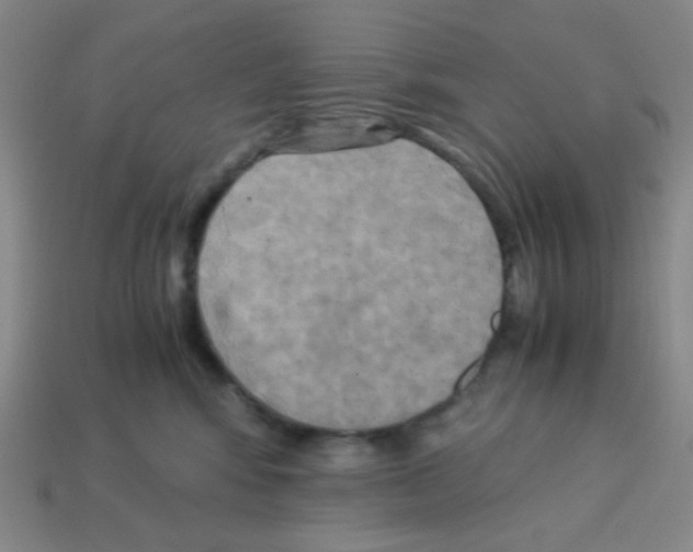 X0000113250424200910221125