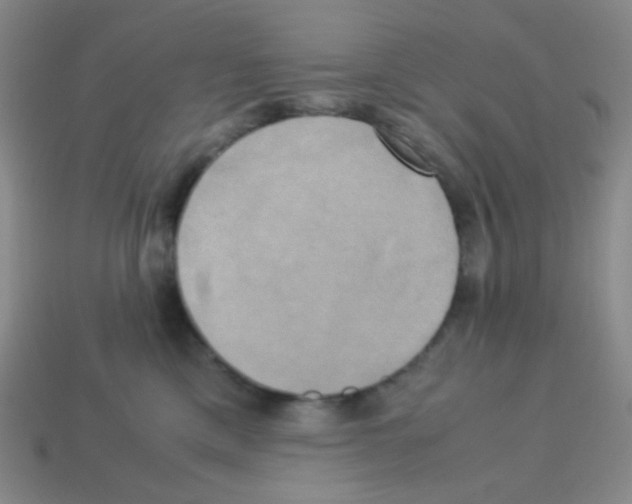 X0000113250425200910221125