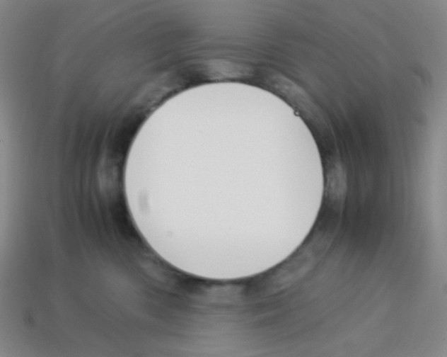 X0000113250426200910221125