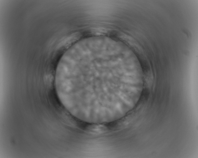 X0000113250427200910221125