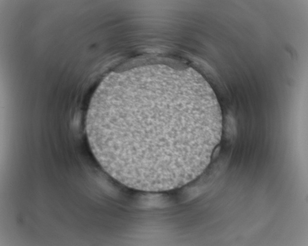 X0000113250428200910221125