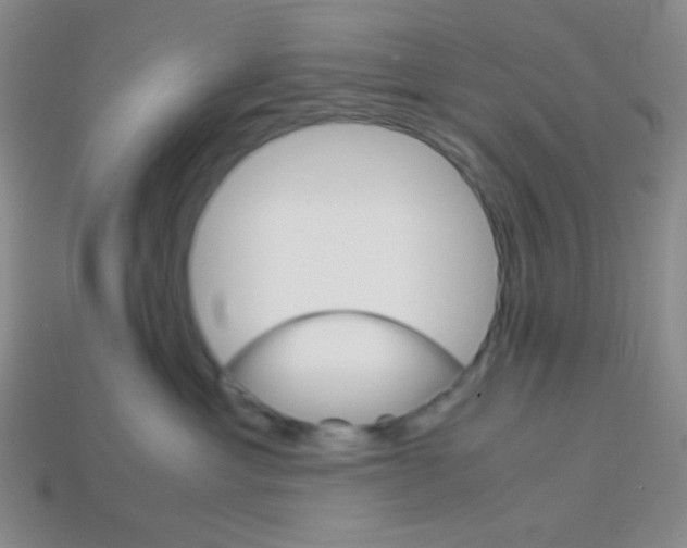 X0000113250429200910221125