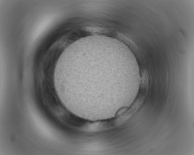 X0000113250430200910221125