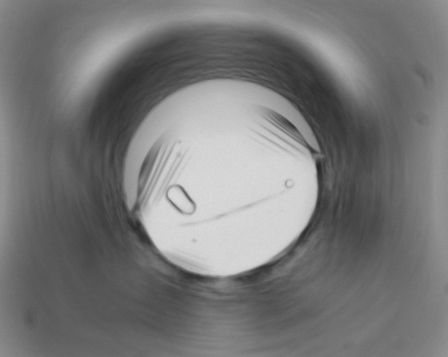 X0000113250431200910221125