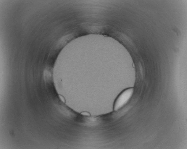 X0000113250432200910221125