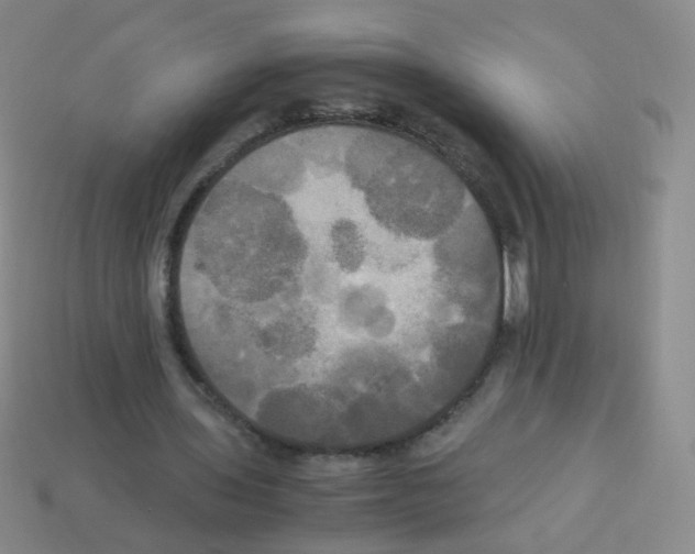 X0000113250435200910221124