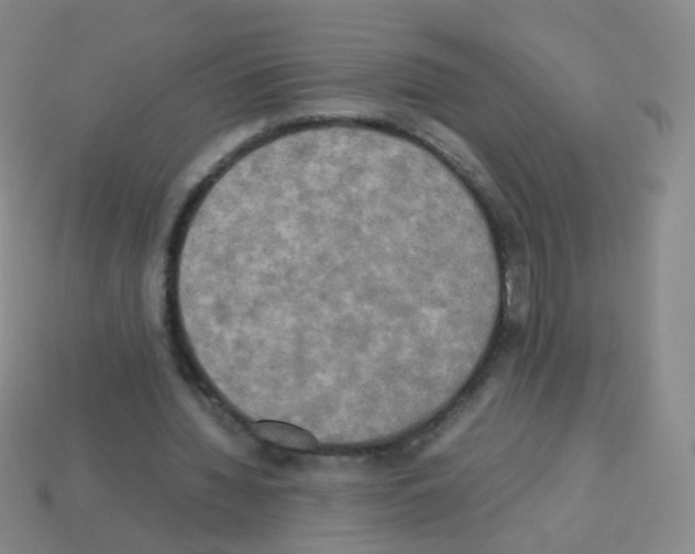 X0000113250436200910221124