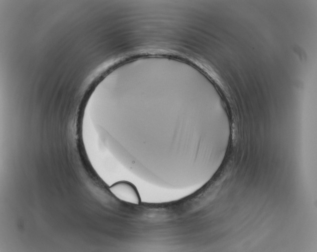 X0000113250438200910221124