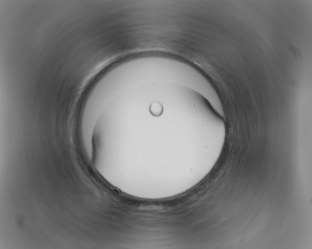 X0000113250440200910221124