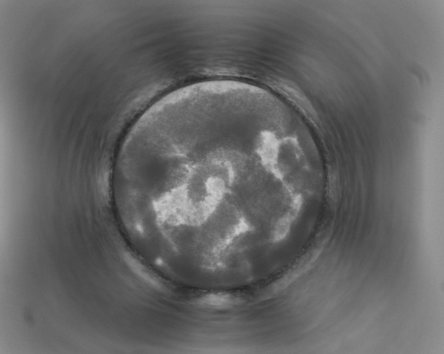 X0000113250441200910221124