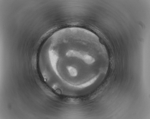 X0000113250442200910221124