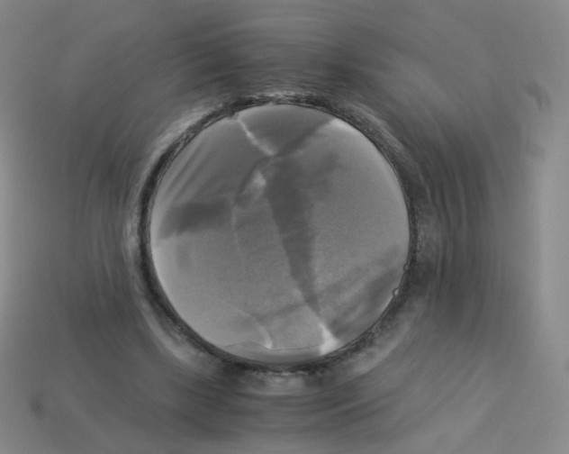 X0000113250443200910221124