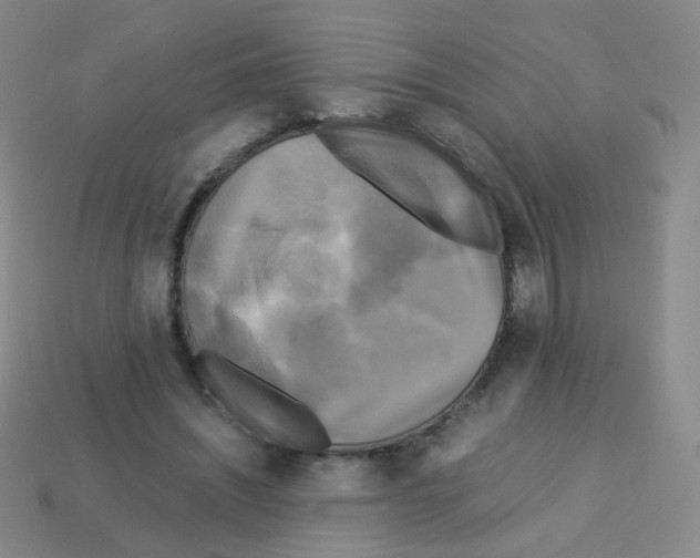 X0000113250444200910221124