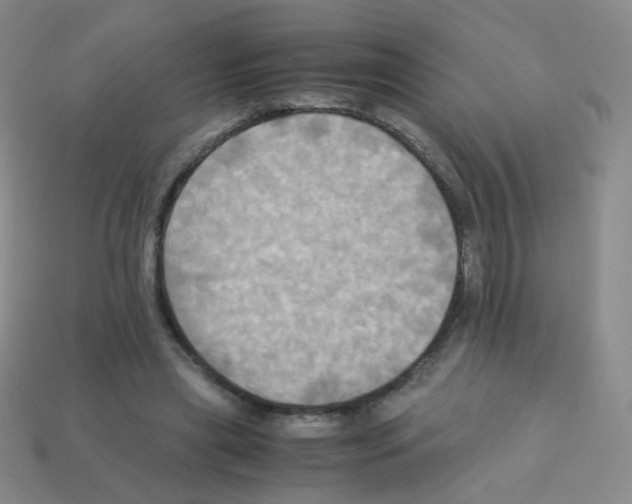 X0000113250445200910221124