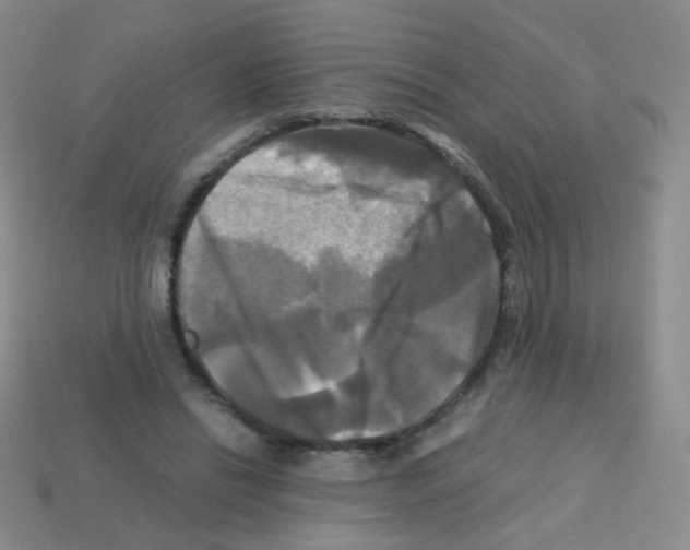 X0000113250446200910221124