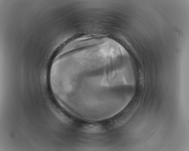 X0000113250447200910221124