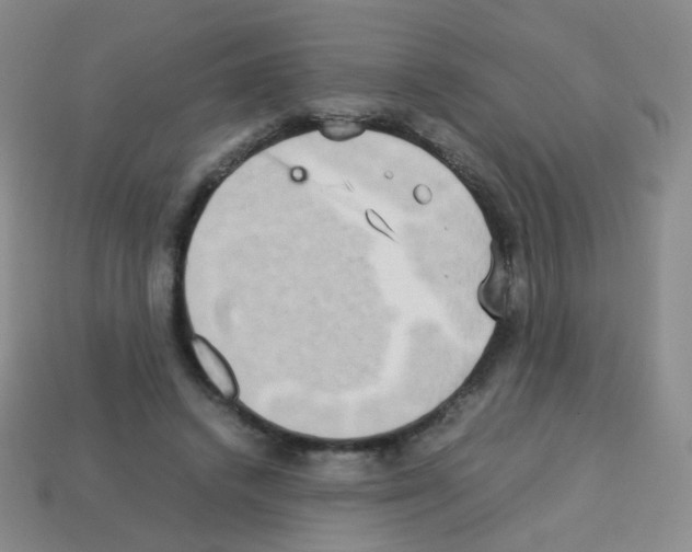 X0000113250448200910221124