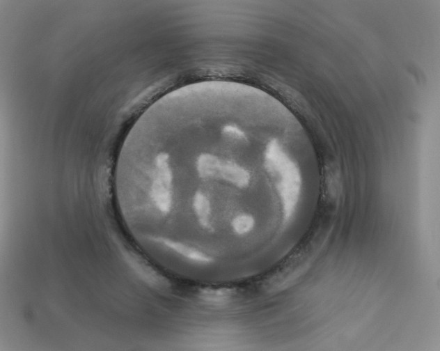 X0000113250450200910221124