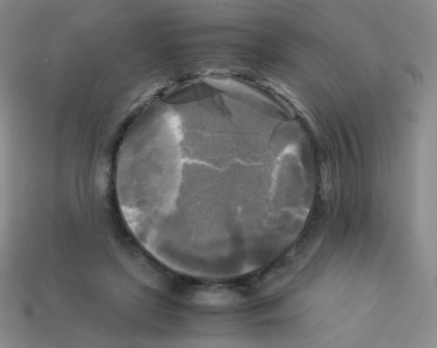 X0000113250451200910221124