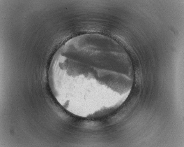 X0000113250453200910221124