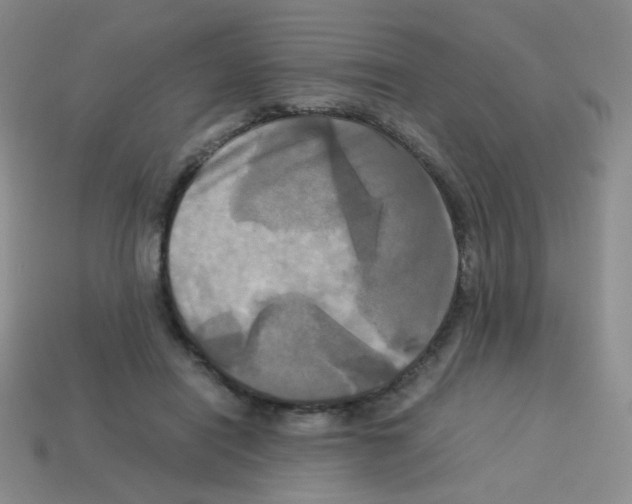 X0000113250454200910221124